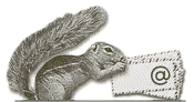squirrel logo